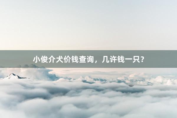 小俊介犬价钱查询，几许钱一只？